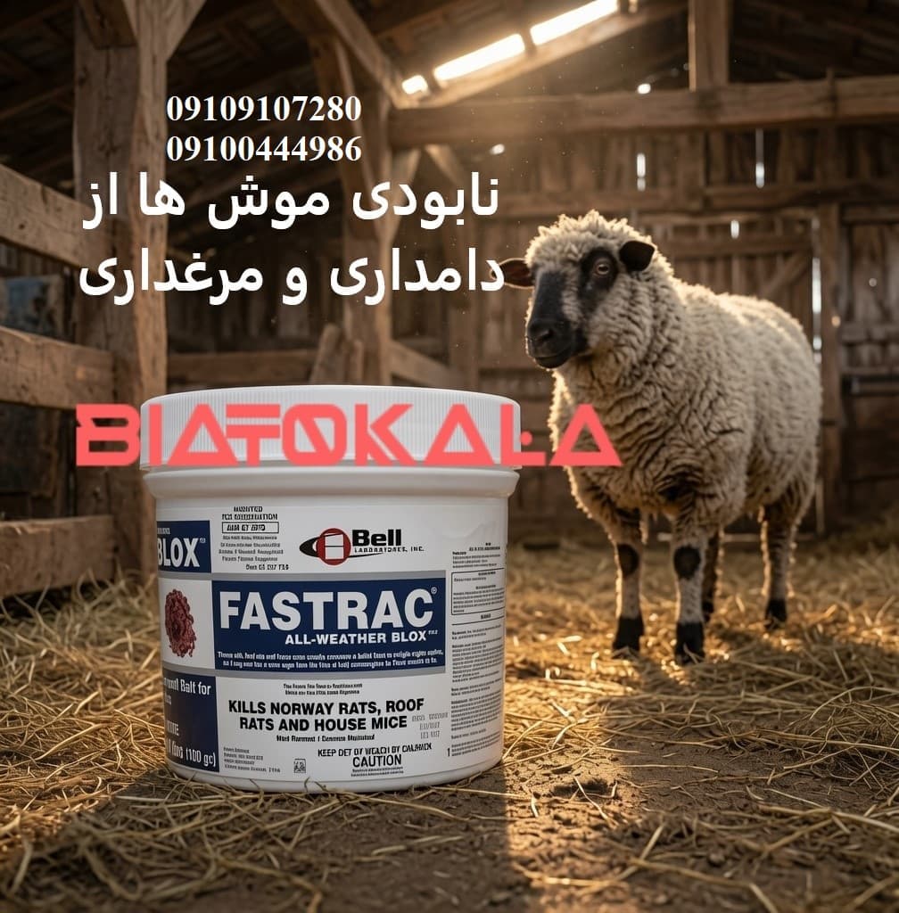 طهمه موش فستربلاکس آلمانی 